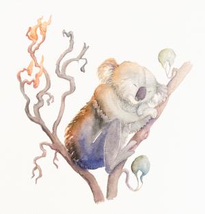 testowanie zbiorki-1